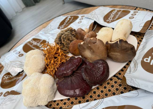 F&oacute;kuszveszt&eacute;s &eacute;s &aacute;lland&oacute; f&aacute;radts&aacute;g? Nem a koffein a megold&aacute;s!