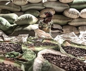 A Nestlé megszabadulhat csokoládé-üzletágának egy részétől