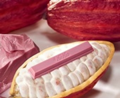 A DNS-ünket akarja a Nestlé
