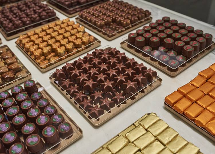 Oázis az Andrássy úton – A Ghraoui csokoládé története
